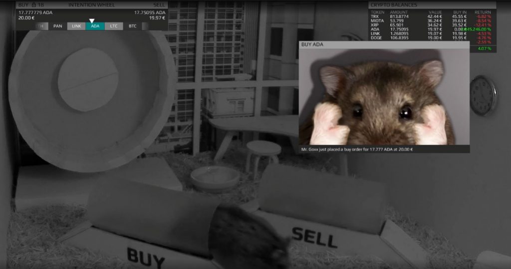 hamster-tranzactioneaza-criptomonede